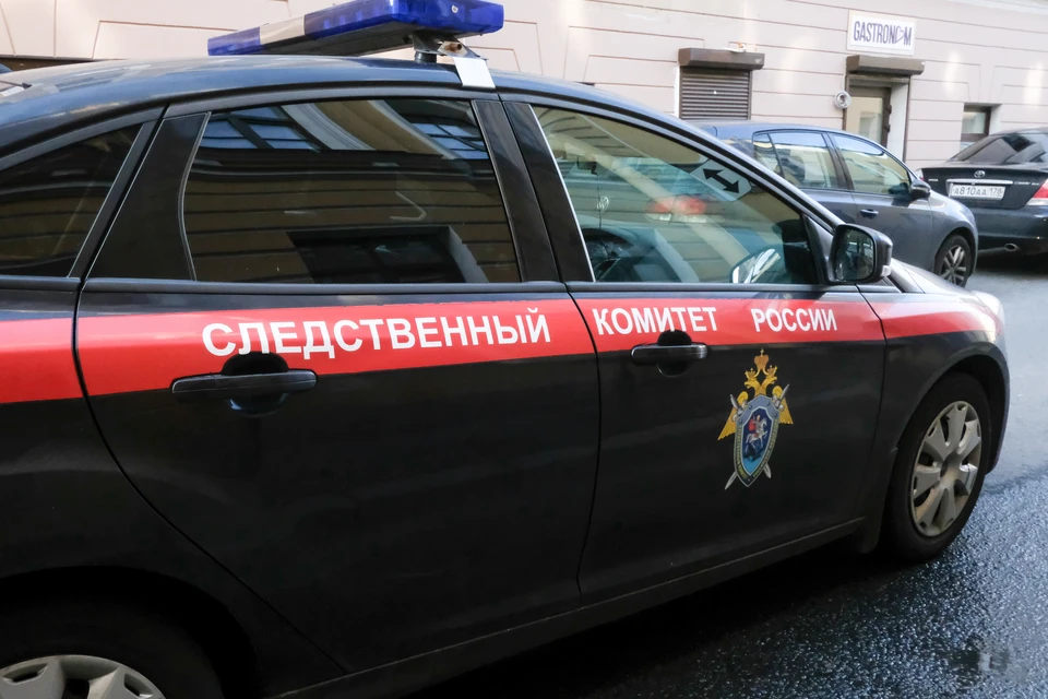 СК Петербурга проведет проверку и предоставит доклад Бастрыкину.