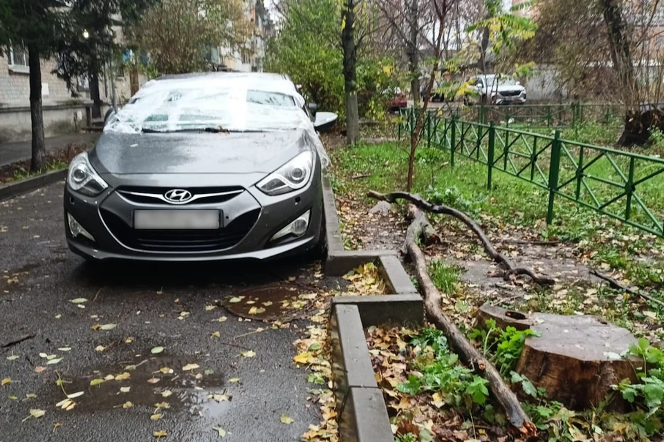 Владелец выбросил ветки, повредившие его авто, рядом с машиной. Фото: читатель "КП - Ростов-на-Дону"