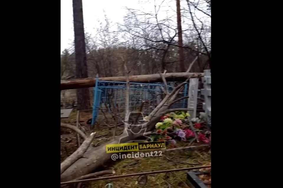 На кладбище. Фото: скриншот из группы "Инцидент Барнаул"