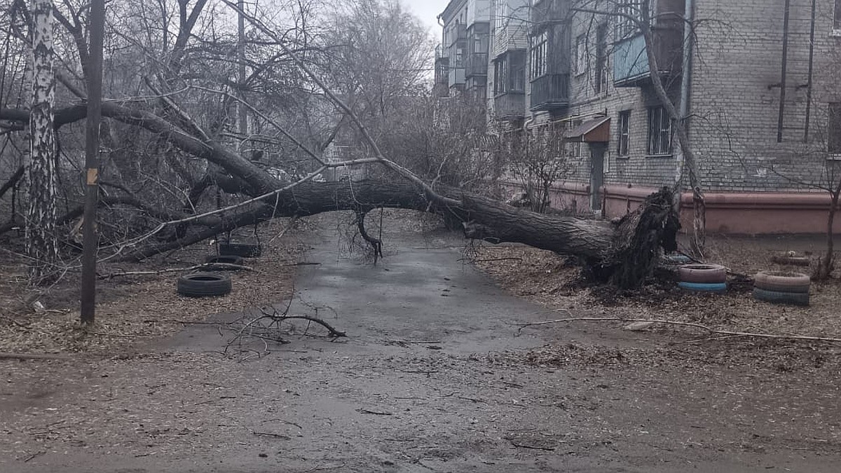 Ураган в Алтайском крае 19 ноября 2023: последствия, фото и видео урагана в  Алтайском крае 19 ноября 2023 - KP.RU