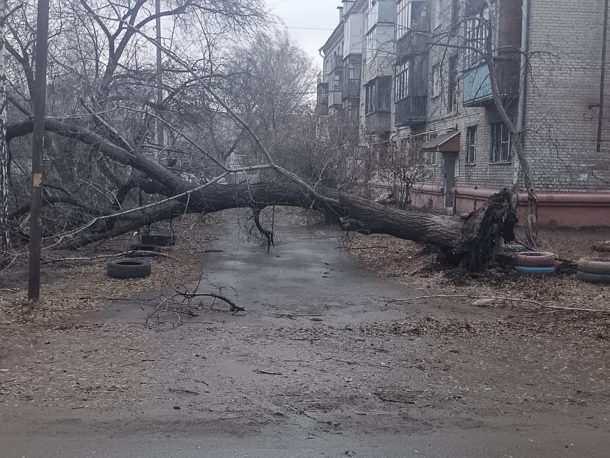 Ураган в Алтайском крае 19 ноября 2023: последствия, фото и видео урагана в  Алтайском крае 19 ноября 2023 - KP.RU