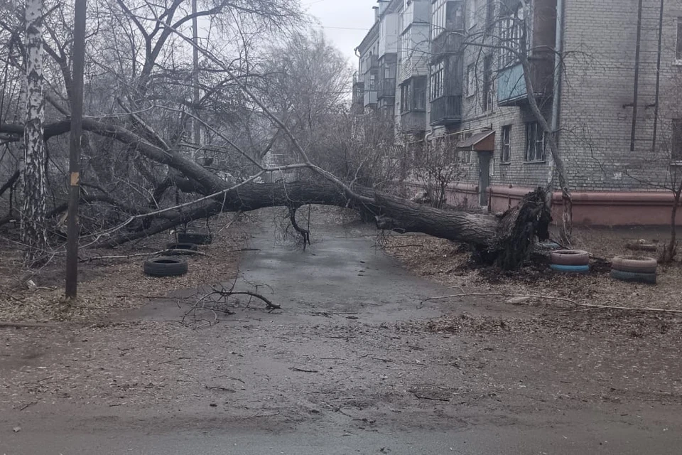 Последствия урагана в Алтайском крае 19 ноября 2023. Фото: Оксана Музоватова