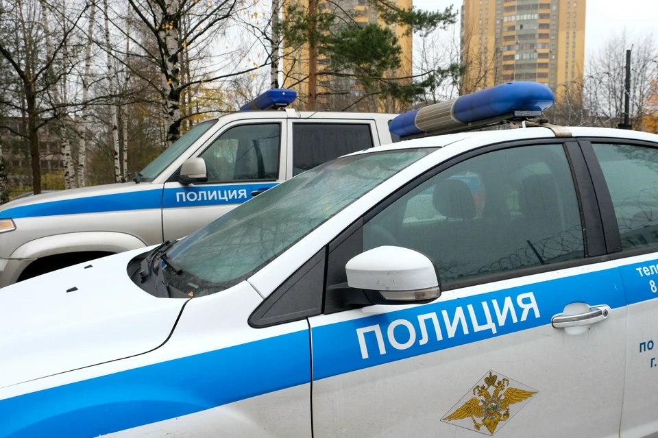 В Петербурге полицейские поймали хулигана.