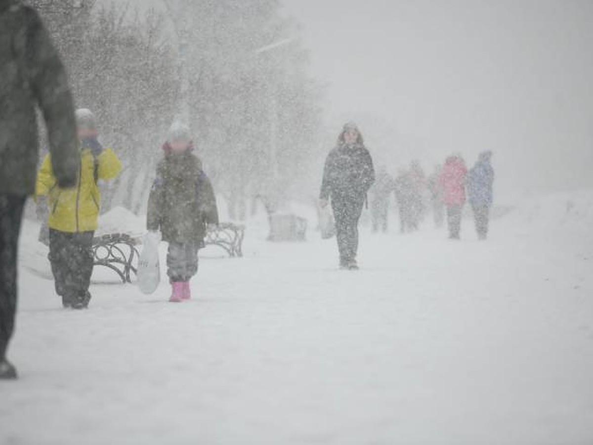 Валит деревья и срывает остановки: синоптики рассказали, когда бушующий в  Сибири ураган дойдет до Иркутска - KP.RU