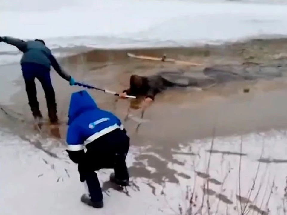 Стоп-кадр.
