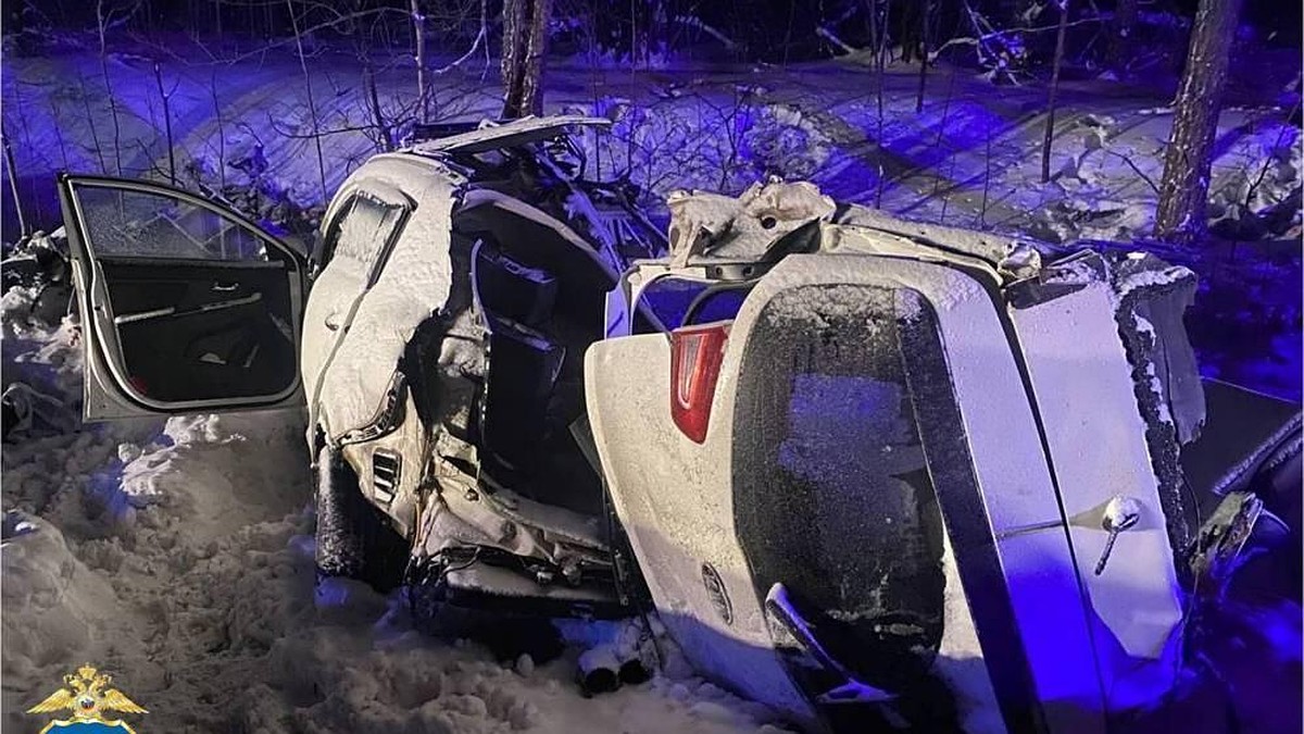 В аварии под Ульяновском погибли женщина и ребенок, еще двое детей в  больнице - KP.RU