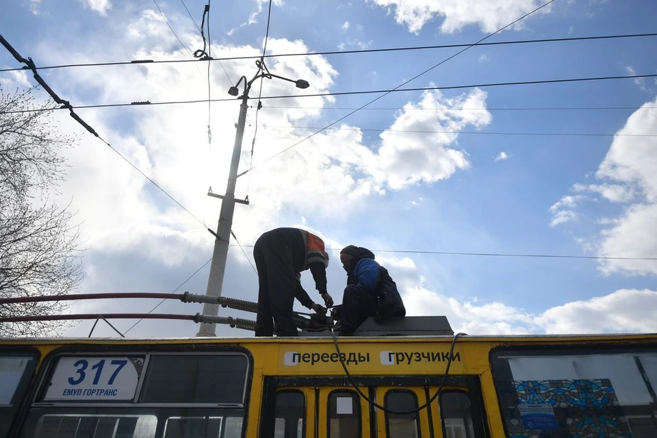 В новосибирском троллейбусе собаку ударило током.