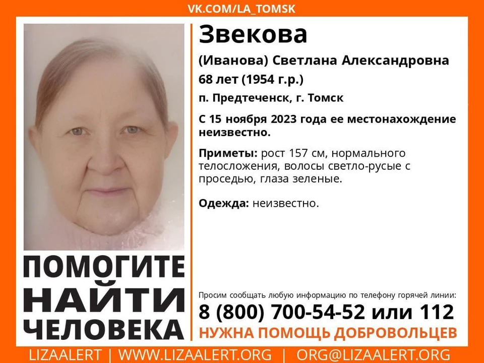 Фото: ориентировка «ЛизаАлерт»