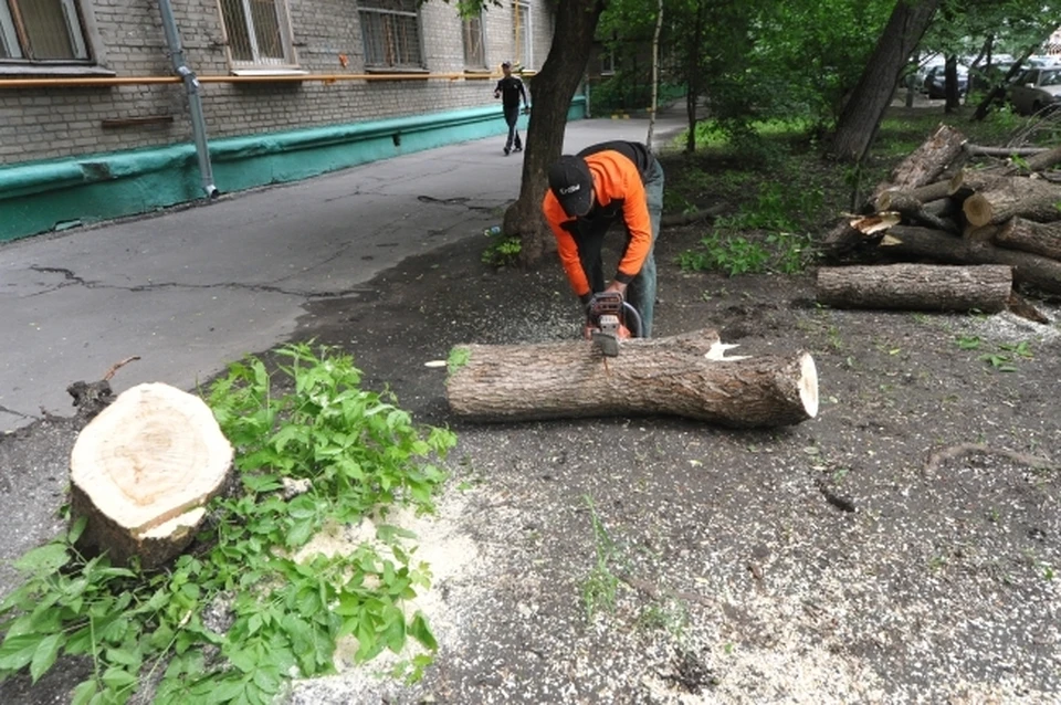 Работы осложняет сильный ветер