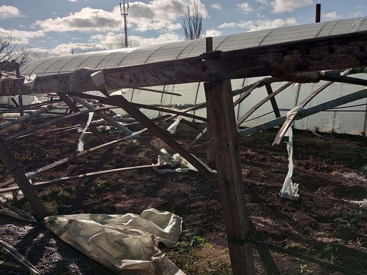 Не выходите в море и не прячьтесь в подземках: в Херсонской области  рассказали, чего не нужно делать при шторме - KP.RU