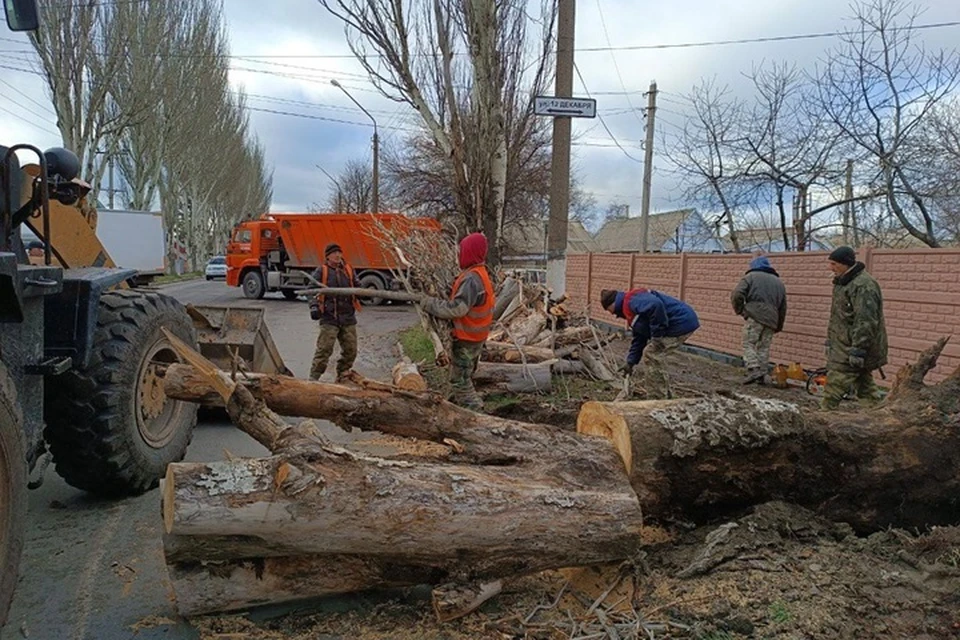В ЛНР устраняют последствия шторма, обрушившегося на республику 27 ноября. Фото - глава ЛНР Леонид Пасечник