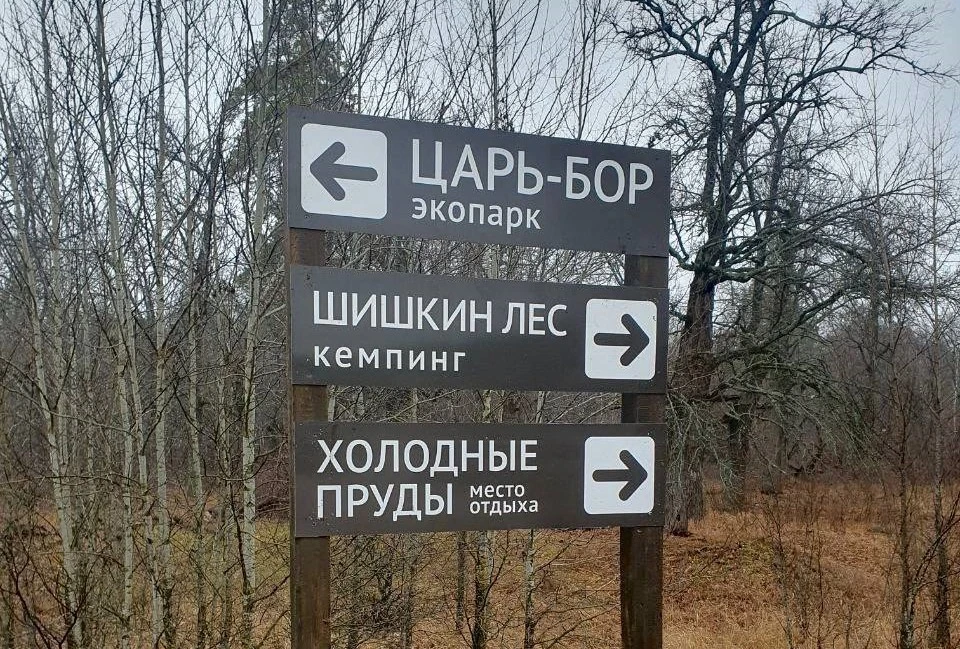 Фото: Национальный парк «Бузулукский бор»