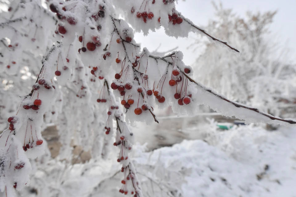 Декабрь в Пермском крае