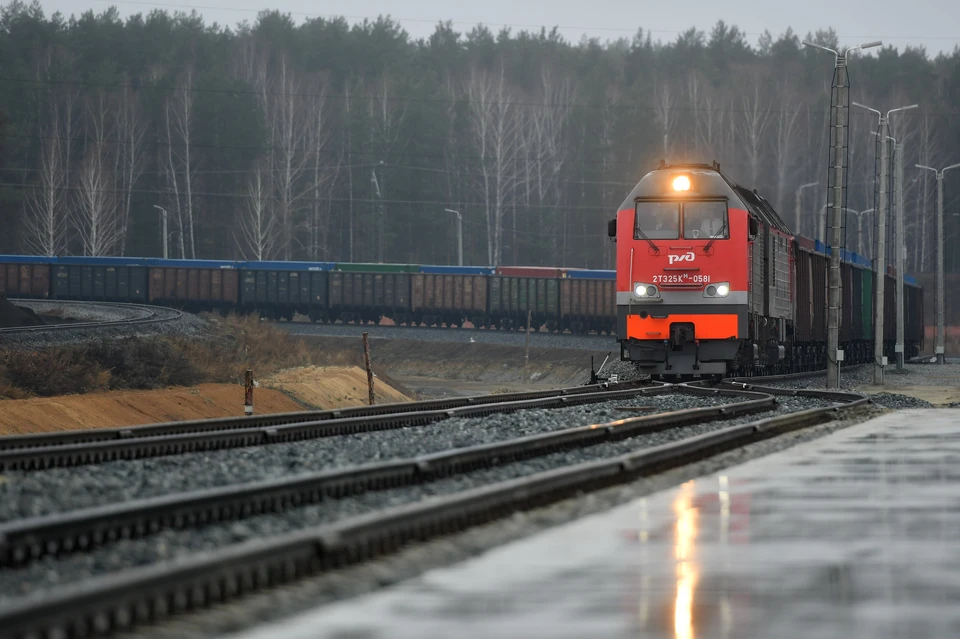 На железной дороге в Кузбассе с начала года под поезда попали 50 человек, 19 из них погибли.