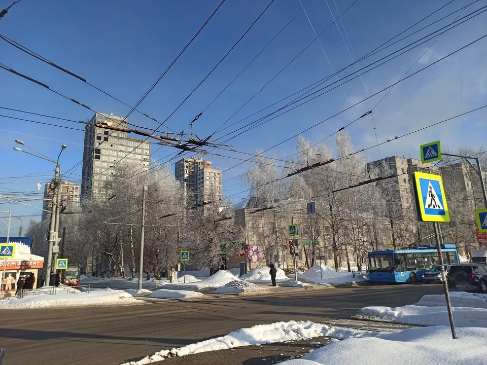 Фото: Наталья Качановская/ АиФ-Томск