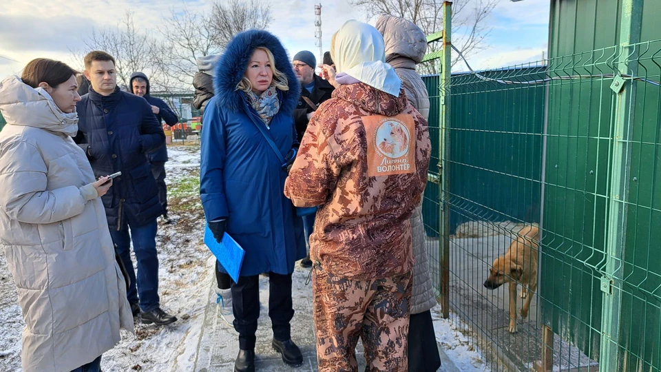 Экосовет в приюте "Лисена". Фото: пресс-служба облдумы.