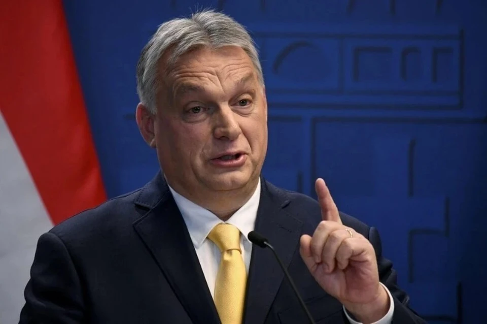 Зеленский встретился с выступившим против вступления Украины в ЕС Орбаноманом
