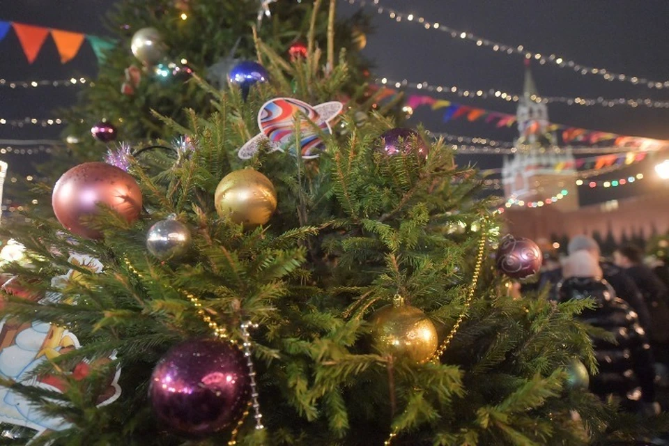 В Ярославле опубликовали программу празднования Нового года