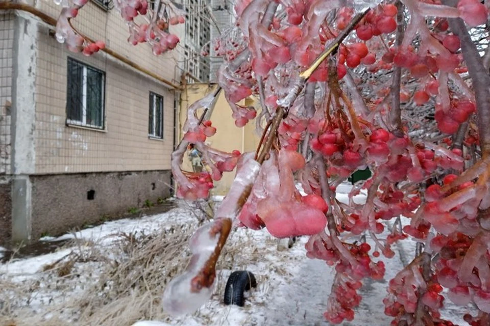 Все в Донецке покрылось льдом