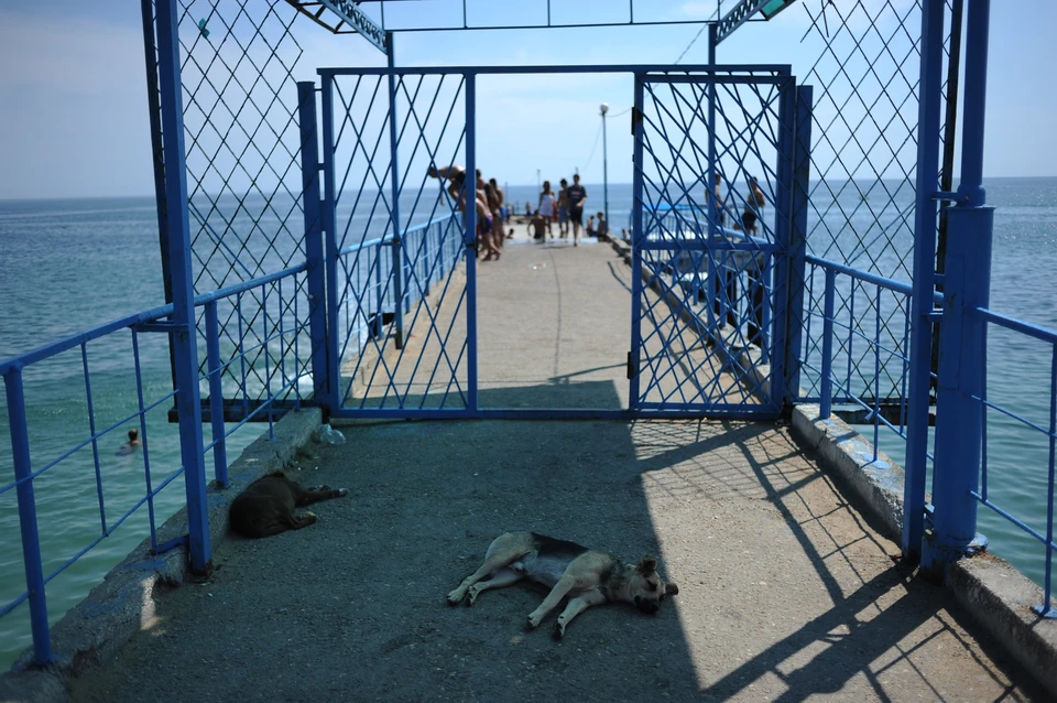 Евпатория Новости Фото