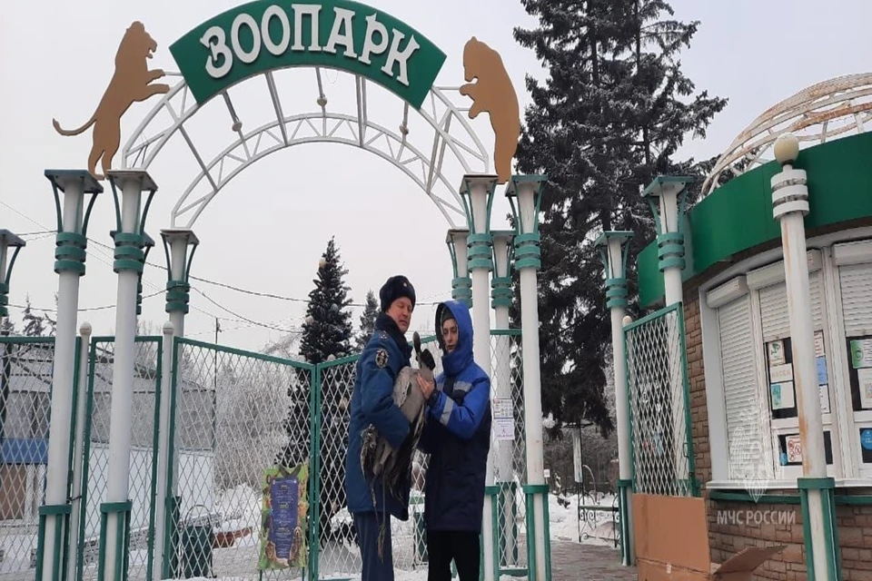 Фото: ГУ МЧС России по Красноярскому краю