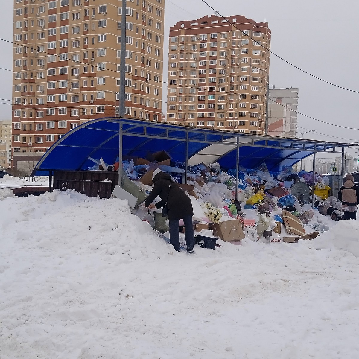 Жители Липецка жалуются на переполненные мусором контейнерные площадки -  KP.RU