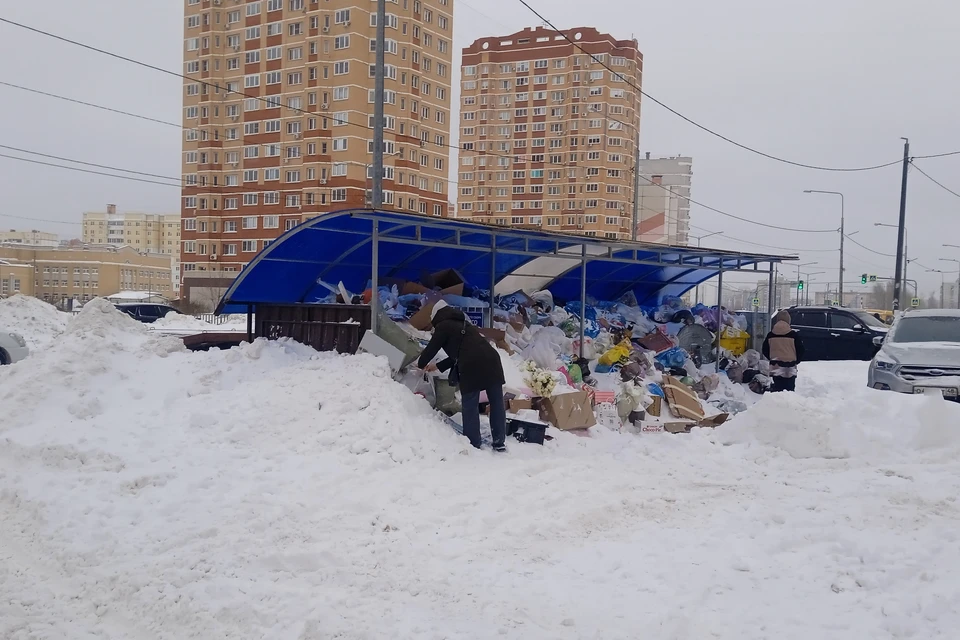 Жители Липецка жалуются на переполненные мусором контейнерные площадки