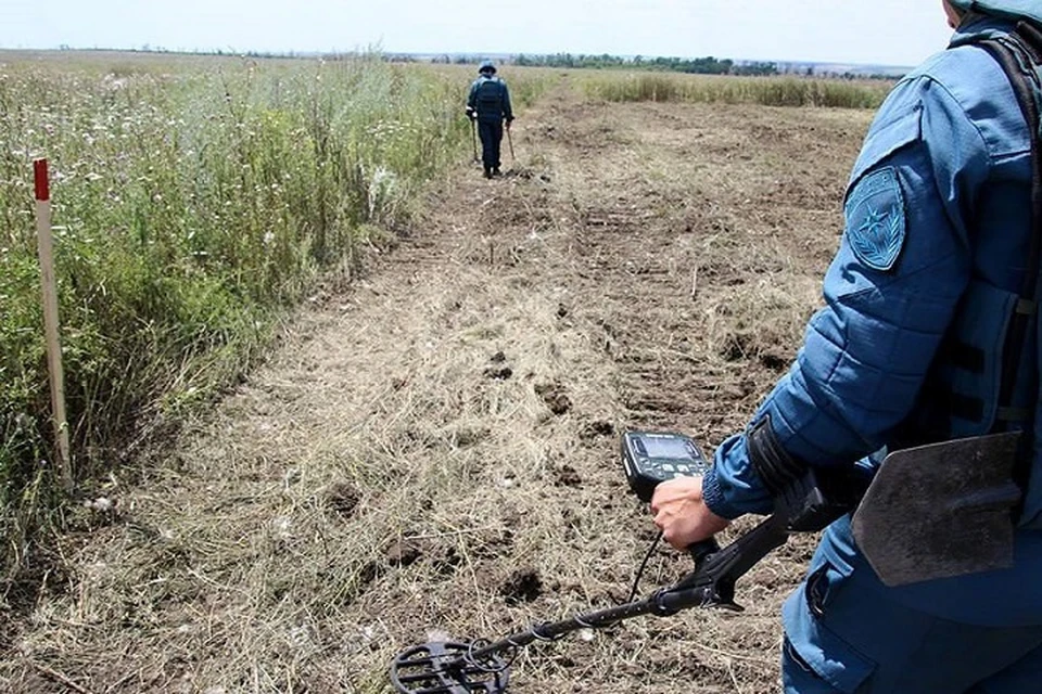 В ДНР обследовали около пяти тысяч гектар земли сельхоз назначения за 2023 год. Фото: МЧС ДНР