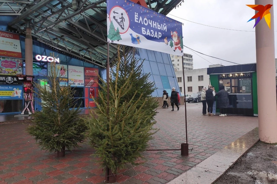 Узнали адреса елочных базаров 2023 в Минске. Фото: архив «КП»