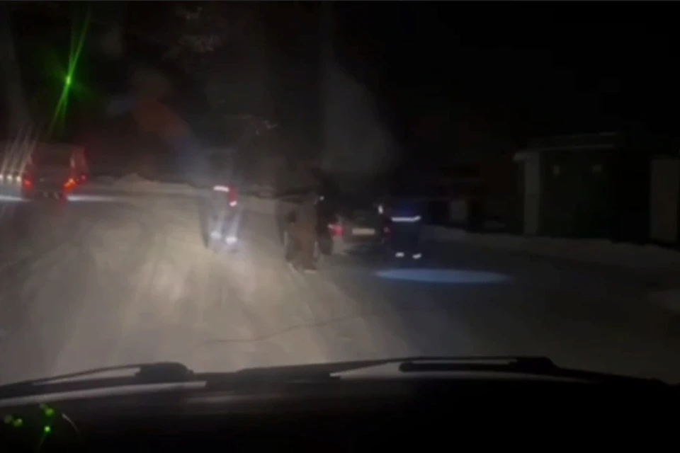 Скриншот: видео МЧС Республики Тыва