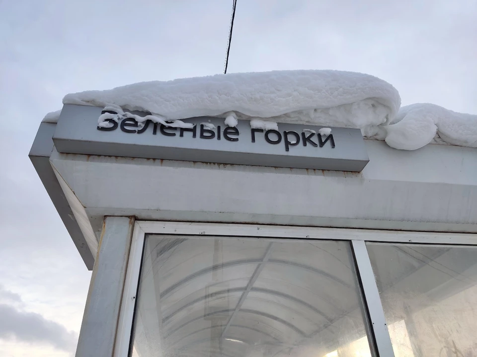 Фото: Анна КОВАЛЕВА