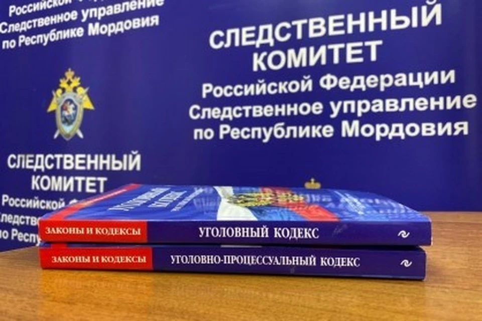 Фото: Пресс-служба регионального СК