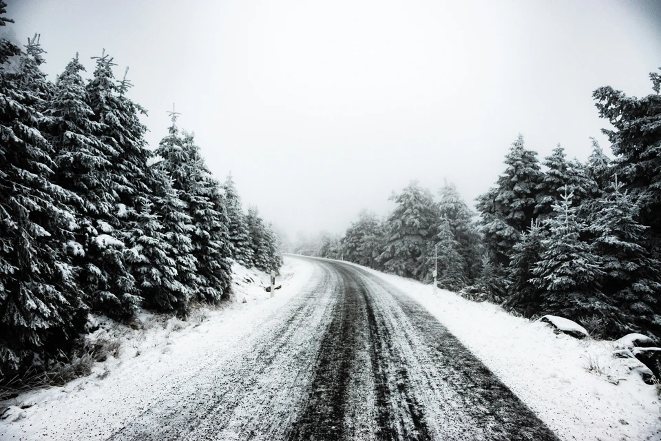Фото - Unsplash.com
