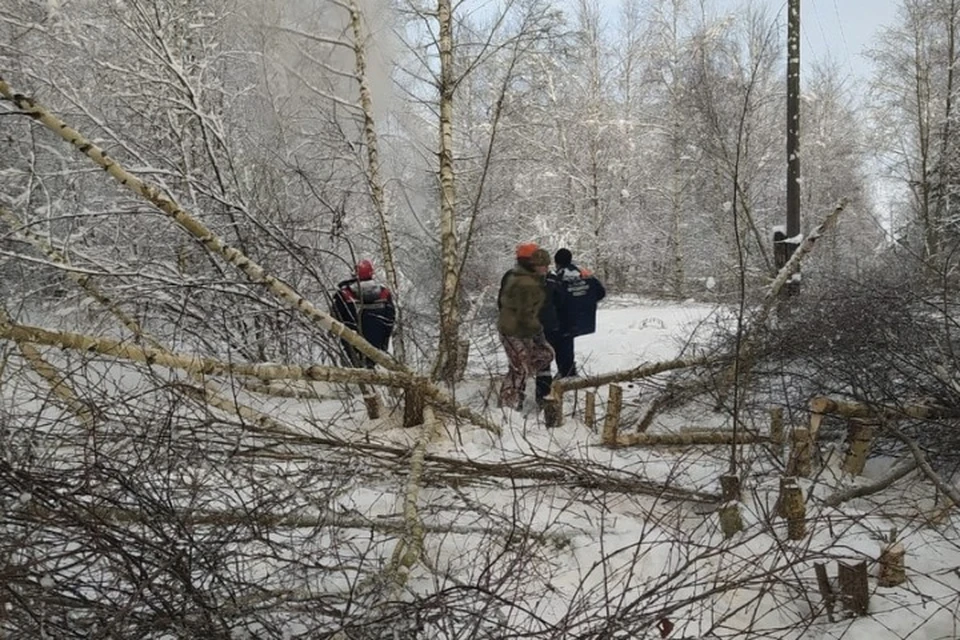 В Ростовском районе ввели режим ЧС из-за обрыва электросетей. ФОТО: страница Андрея Шатского ВКонтакте