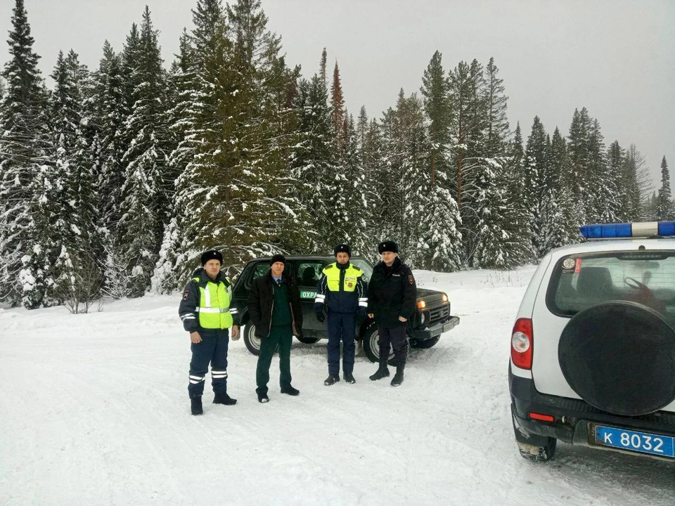 Фото: ГУ лесами Челябинской области