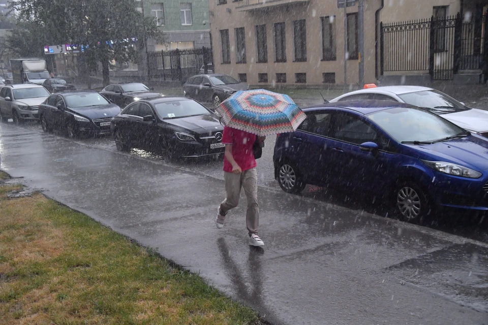 Фото: Владимир ВЕЛЕНГУРИН