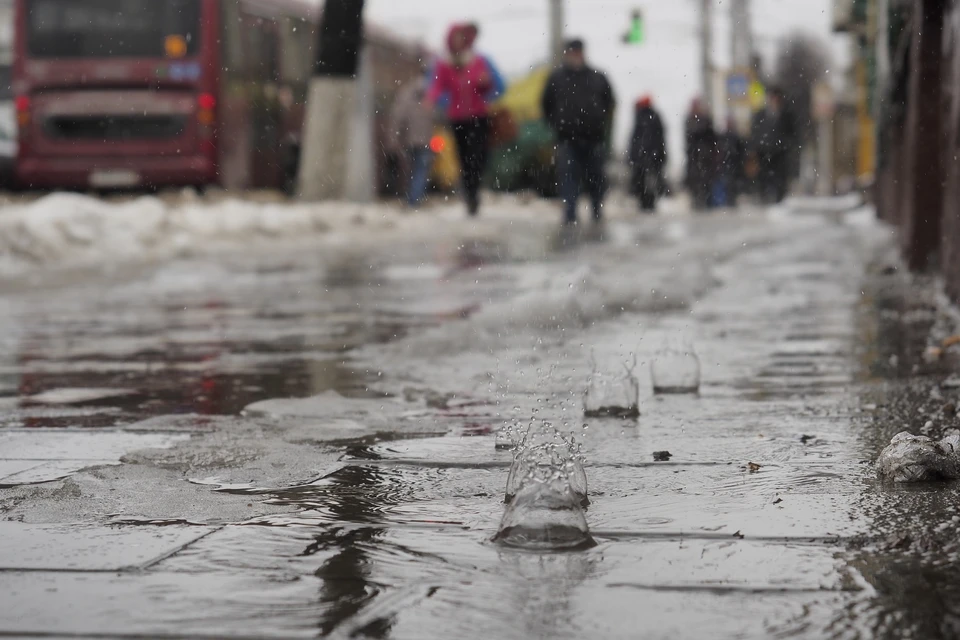 Оттепель задержится в Воронежской области еще на трое суток.