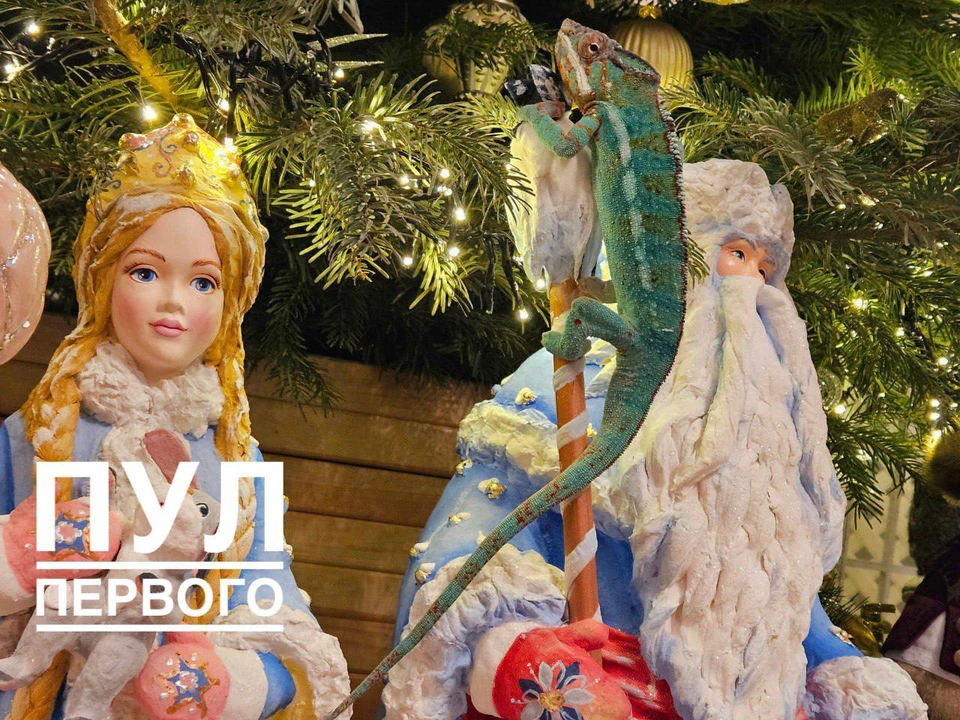 Хамелеон Жорик живет дома у Александра Лукашенко. Фото: телеграм-канал «Пул Первого».
