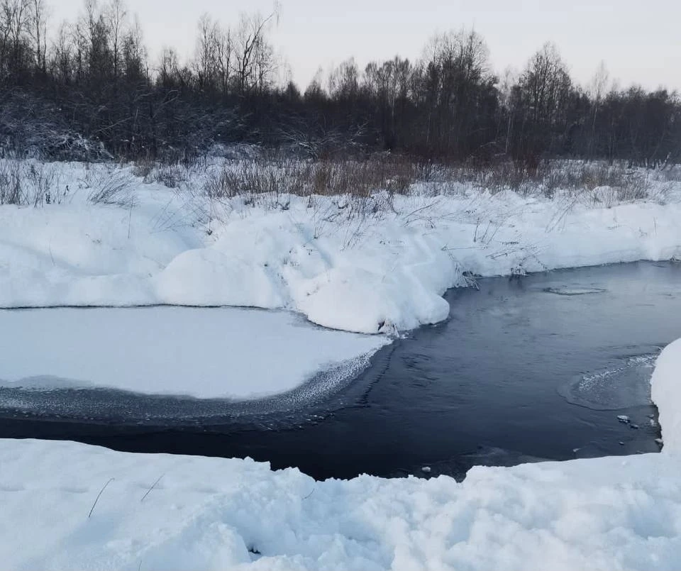 Место происшествия на реке. Фото: прокуратура Тверской области