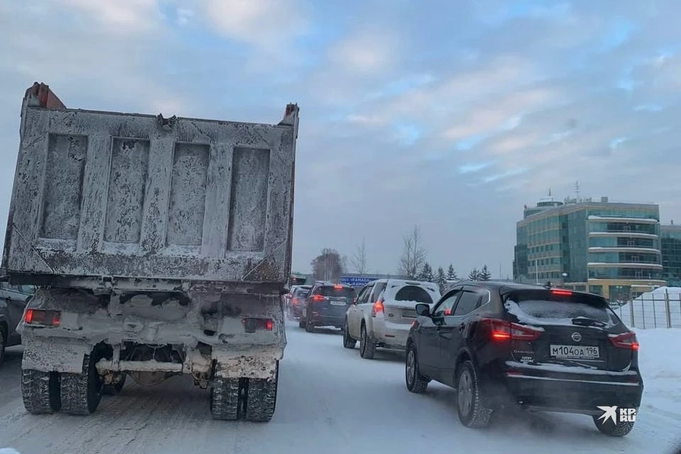 Лев в екатеринбурге с золотыми яйцами фото