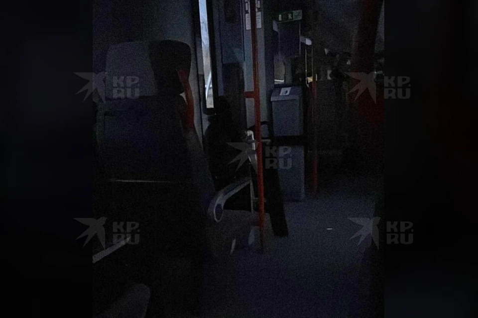 В поезде отключали электричество. Фото: читатель "КП"