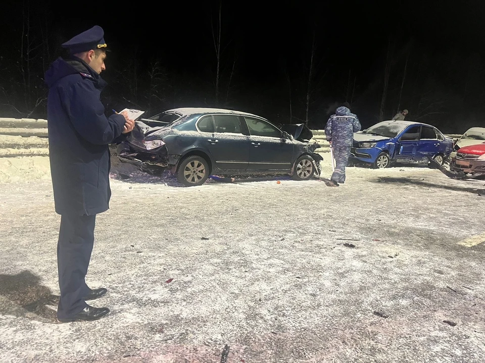 фото СУ СКР России по Новгородской области