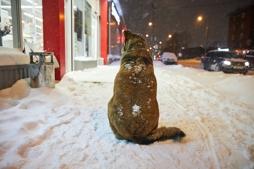 Зима в Перми