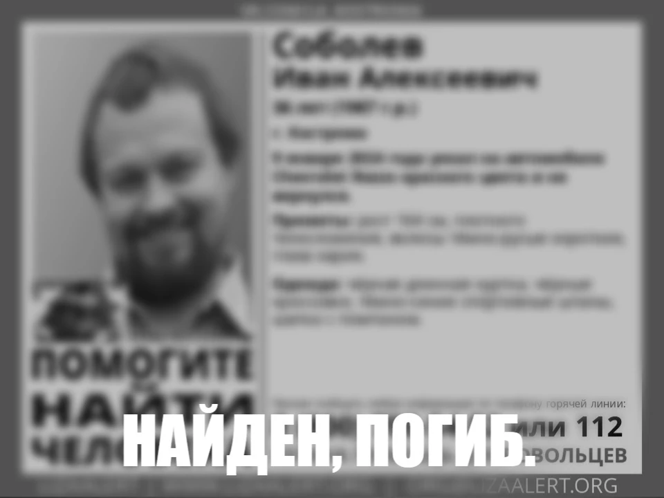 Фото: ДПСО "Лиза Алерт" Костромской области