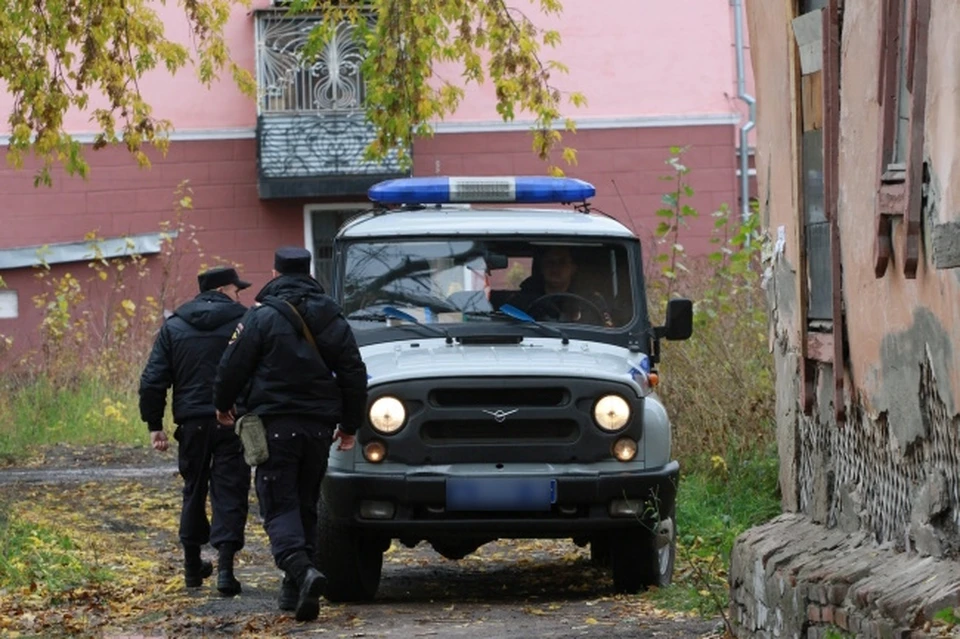 Полицейских вызвали унять дебоширку, но они сами пострадали от ее рук.