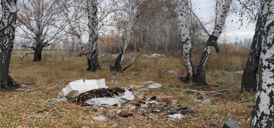 Фото предоставлено Прокуратурой Омской области