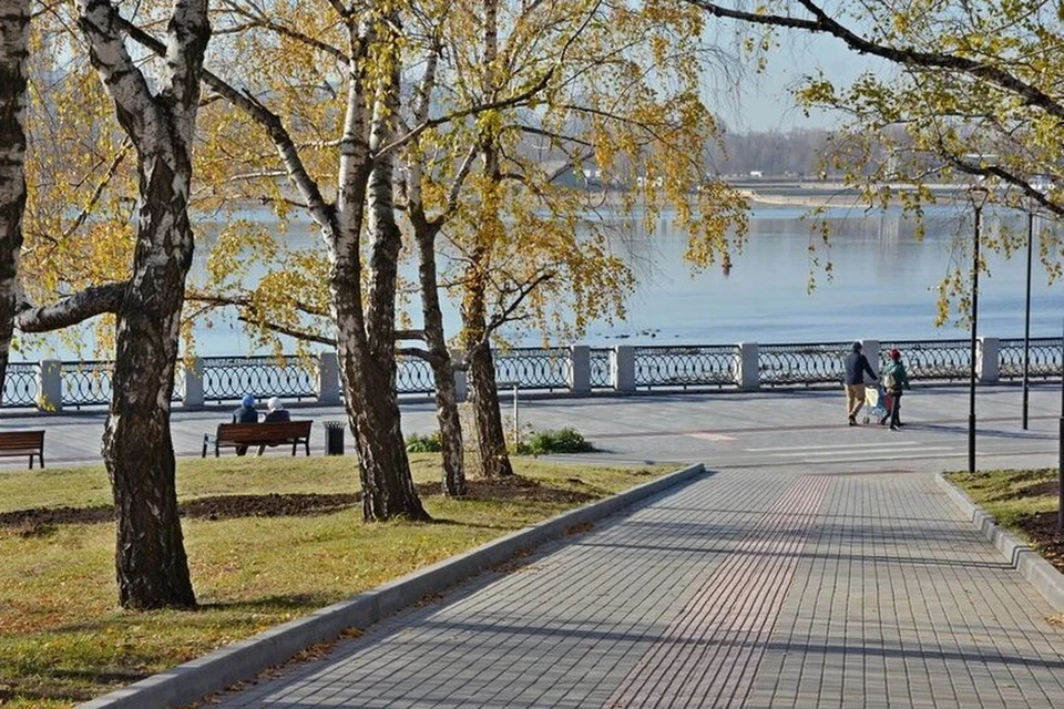 Новосибирцы могут предложить территорию для благоустройства.