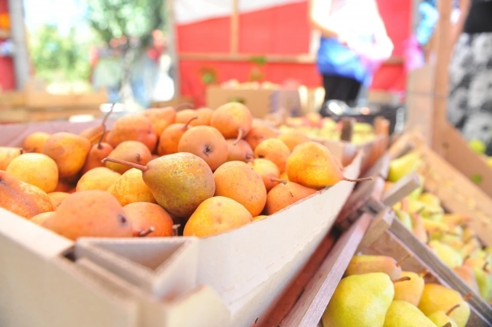 По словам Марины Патяшиной, в регионе качество пищевых продуктов не ухудшается.
