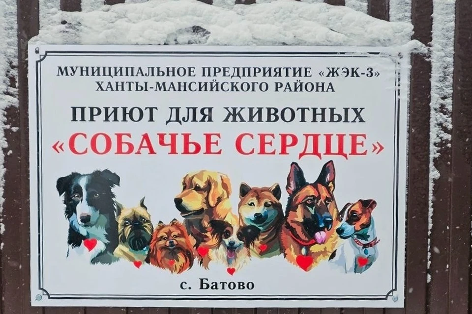 В Ханты-Мансийском районе открыли приют для бездомных животных «Собачье сердце». Фото: администрация Ханты-Мансийского района