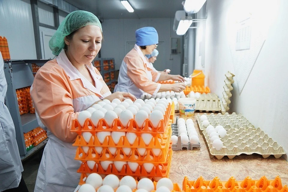 Яиц собственного производства и поставок с материка Крыму вполне достаточно, чтобы покрыть внутренние потребности